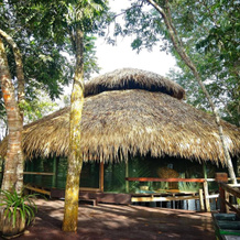 Juma Amazon Lodge, Careiro — photo 5