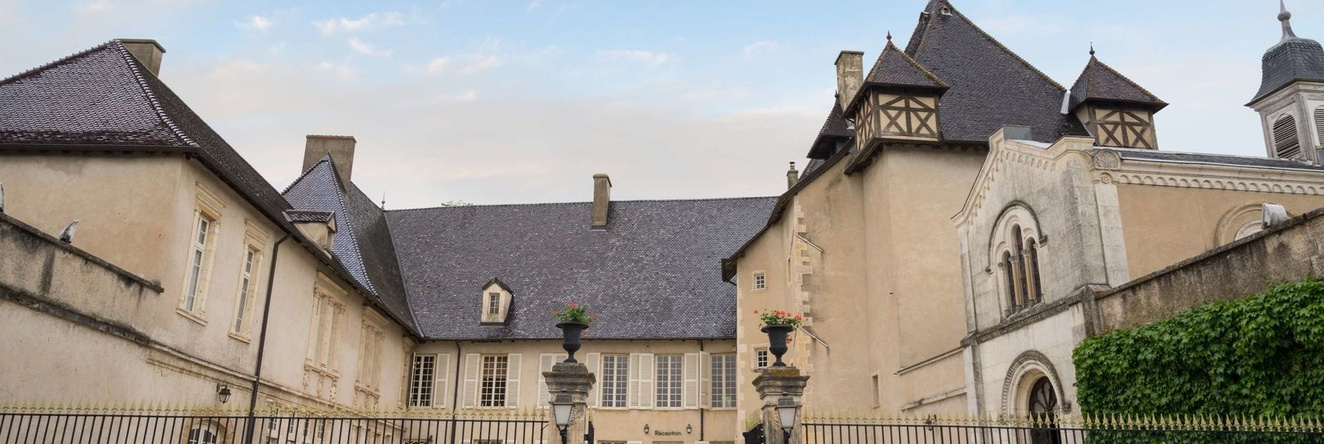 Château de Pizay, Saint-Jean-d'Ardieres — photo 1
