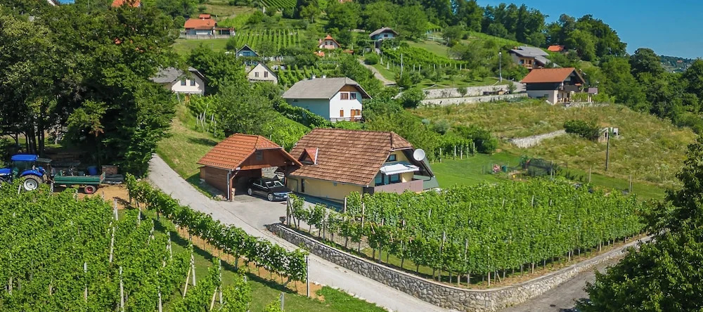 Vineyard Cottage Hocevar With Sauna, Ново Место — фото 1