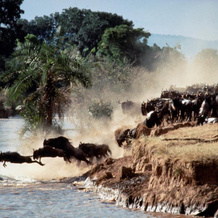 Kenya Safari – Kenya Classic Keekorok (6 Nights), Nairobi — photo 3