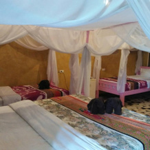 Orchid Hibiscus Guest House, 素可泰 — 照片 3