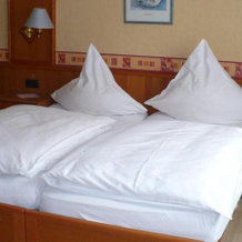 Hotel am Birkenweg, Erlangen — photo 5