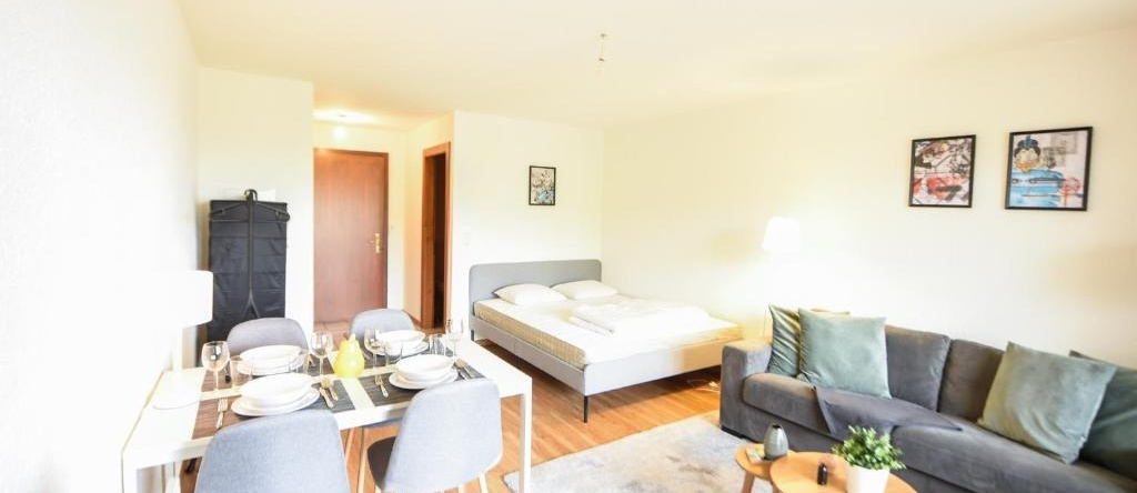 Charming and comfortable studio ideally located in Saillon, 锡永 — 照片 1
