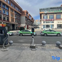 Wa Xu Grand Hotel, Sertar — photo 5