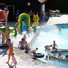Camping De Koeksebelt, Ommen — photo 4