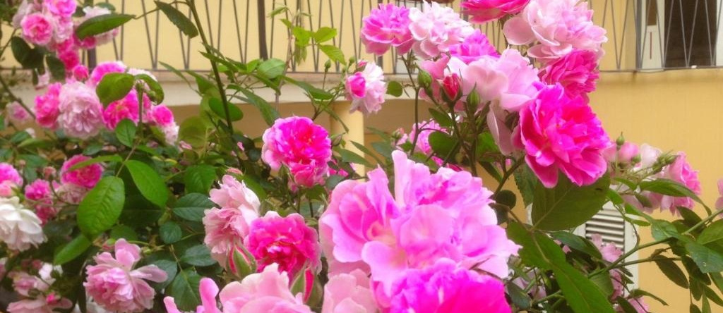 B&B Maison Rosetta IUN-E4948, 努奥罗 — 照片 1
