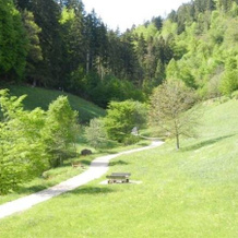 Appartementhaus Wiesengrund, 巴特泰纳赫-察费尔施泰因 — 照片 5