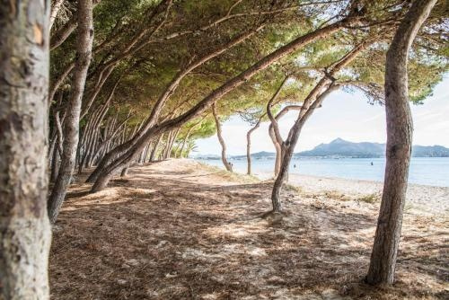 Beach Inn, Alcudia — photo 1