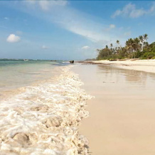 Saruni Ocean, Msambweni — photo 5