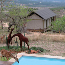 Ndhula Luxury Tented Lodge, Уайт-Ривер — фото 5