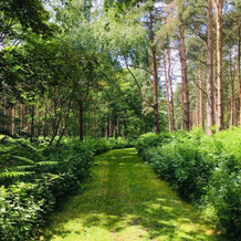 Hollicarrs - Forest Retreat, 塞尔比 — 照片 3