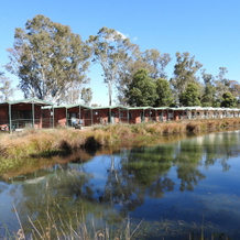 Victoria Lake Holiday Park, 谢珀顿 — 照片 2