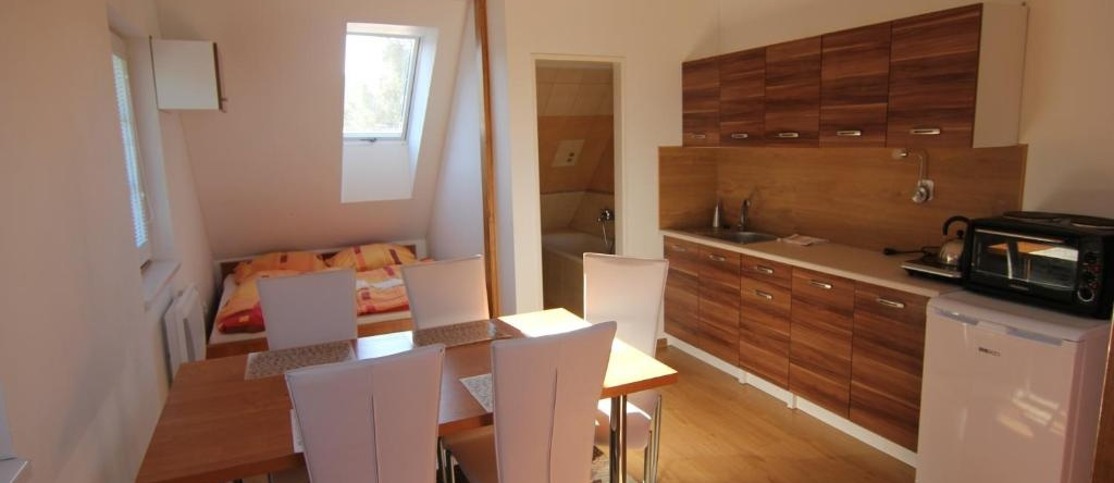 Apartment Ostružná, 奥斯特鲁日纳 — 照片 1