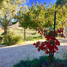 Agriturismo Casebianche, Montallegro — photo 5