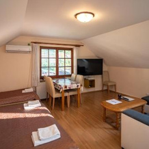 Apartmán a ubytování U Machů, 米库洛夫 — 照片 4