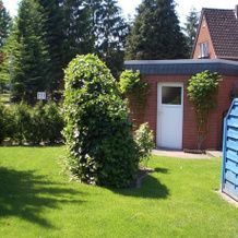Ferienwohnung Heidegeist, Нойенкирхен — фото 4