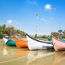 Oyo Rooms Morjim Beach Roadside, Морджим — фото 5