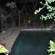Nobene Lodge, Acornhoek — photo 4