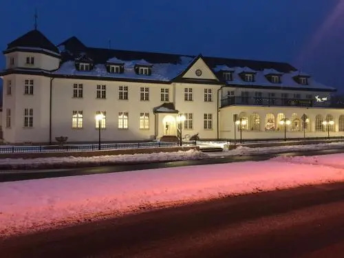 Prawdzic Palac, Strzelce Opolskie — photo 1