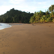 Mapara Lodge, 巴伊亚索拉诺 — 照片 5