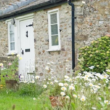 Kates Farm Bed and Breakfast, 西顿 — 照片 4
