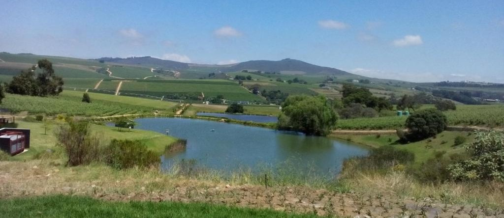 Aaldering Vineyards and Wines Luxury Lodges, 斯泰伦博斯 — 照片 1