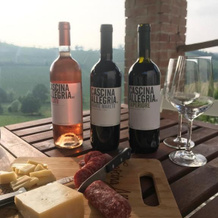 Cascina Allegria, Кастельнуово-Кальчеа — фото 5