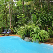 Wait A While Daintree, Cow Bay — photo 3