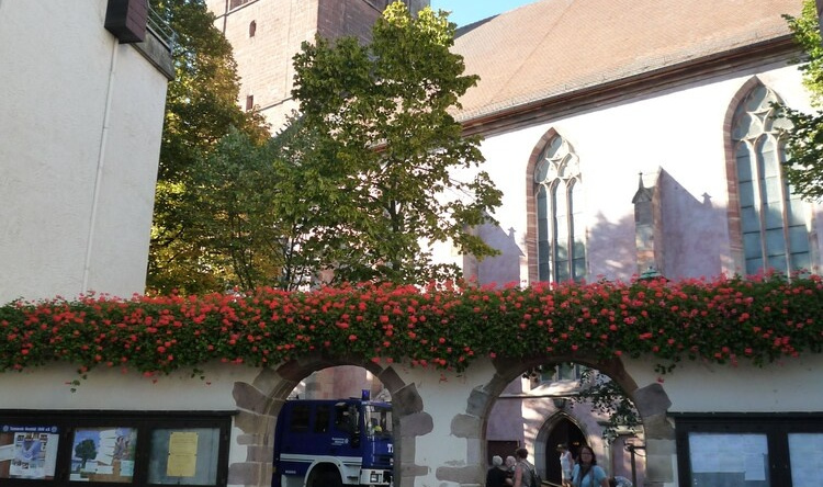 Hotel Landhaus Silbertanne, Rotenburg an der Fulda — photo 1