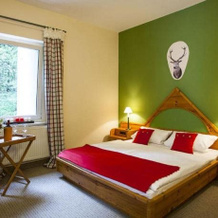 Landhotel & Gasthof Forsthaus, Annaberg-Buchholz — photo 5