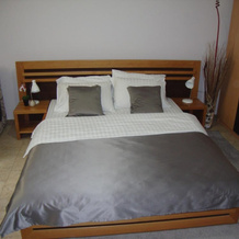 Guesthouse Vila Olivera, 尼什矿泉镇 — 照片 3