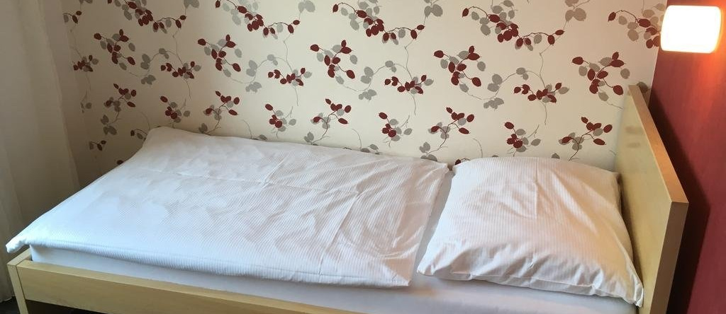 Hotel Kravi Hora, 博尔热蒂采 — 照片 1