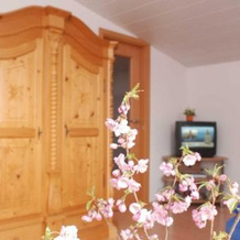 Ferienwohnung Pferdezentrum Edersee, 瓦尔德克 — 照片 5