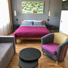 Kaktuss Apartamenti Smiltene, Смилтене — фото 5