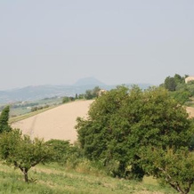 Profumo Delle Marche, Монтефано — фото 4