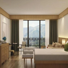 dusitD2, Fagu, Shimla, 泰奥格 — 照片 5