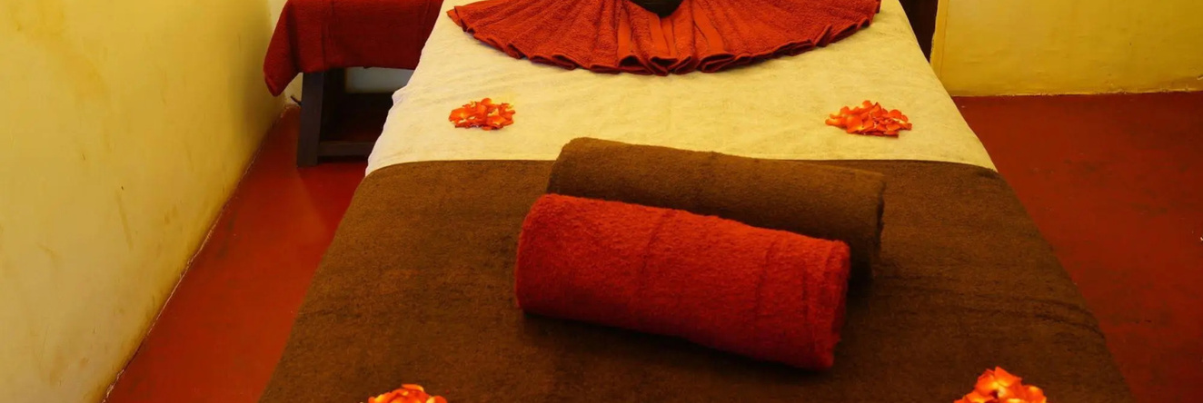 Dudhsagar Spa Resort, Моллем — фото 1