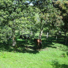 Finca El Cielo, Сан-Аугустин — фото 3
