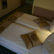 Acron Hotel, Виттенберг — фото 3