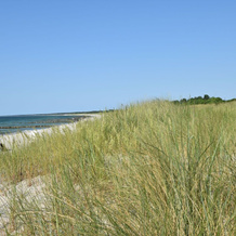 Delightful Apartment in Pruchten near Zingst Sea, 普鲁赫滕 — 照片 5