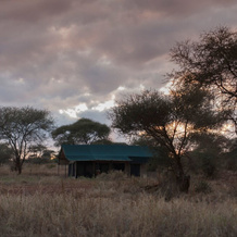 Kichuguu camp, Tarangire National Park — photo 5