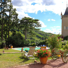 Château des Janroux, Julienas — photo 5