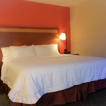 Hampton Inn Montgomery-South-Airport, Хоуп-Халл — фото 3
