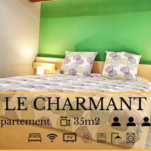 Splendide Appartement Barr - Route du Vins, Barr — photo 3