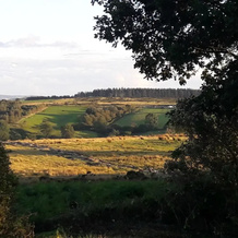 Pen Rhos Luxury Glamping, Llanbister — photo 3