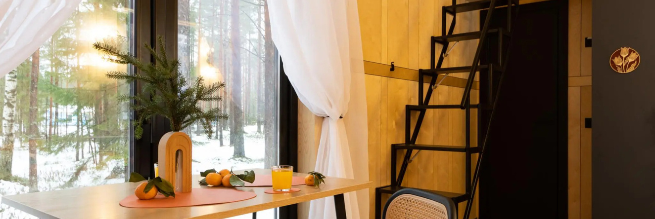 Eliza Home Гостевой Дом В Сосн Раздолье, Всеволожск — фото 1