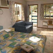 Cowra Holiday Park, 考拉 — 照片 4