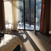Paradise Borjomi Hotel, Боржоми — фото 2