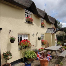 Holmdene, Beaworthy — photo 4