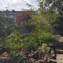 Birch House B&B, 韦茅斯 — 照片 2